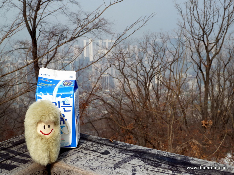 Puffbohne und im Hintergrund die Stadt