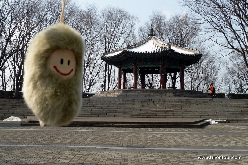 Die Puffbohne vor einem traditonellen koreanischen Pavillion