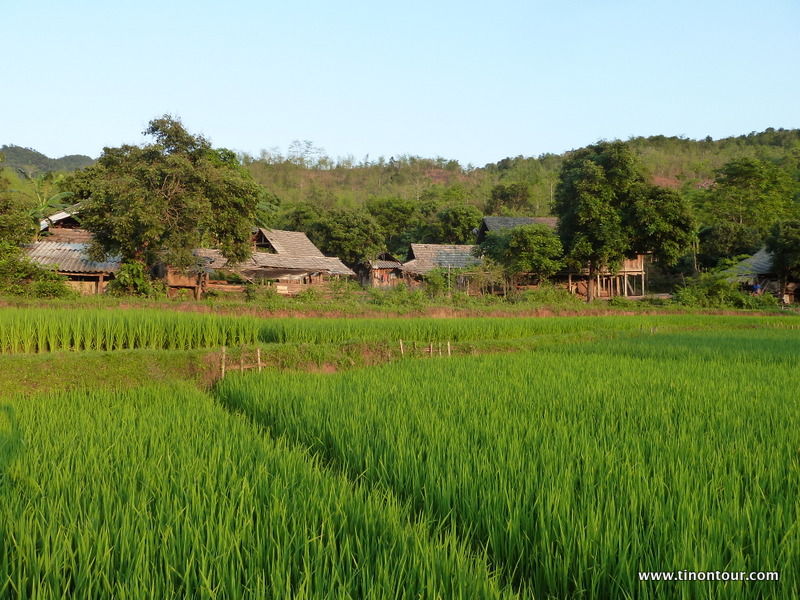 weltreise-2013-07-vietnam-10-maichau_07-P1080208 Blick von den Reisfeldern auf das Dorf