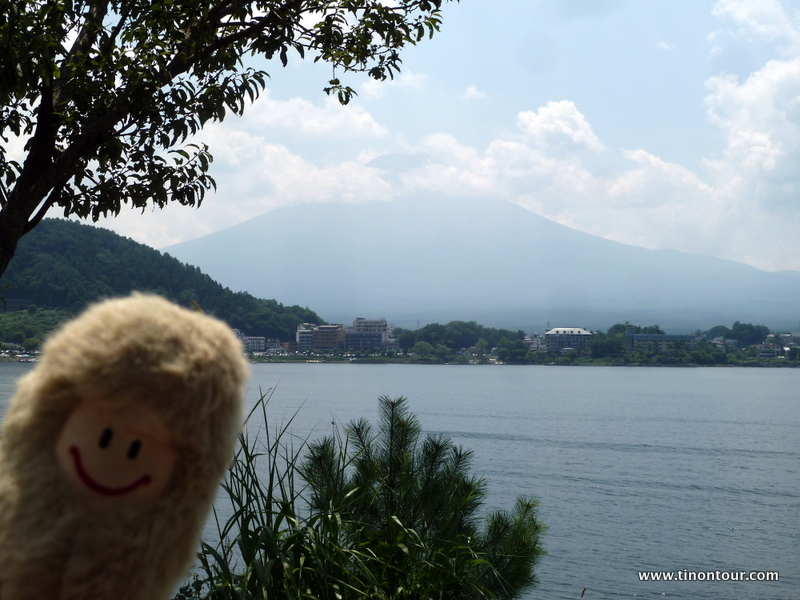 Kein schönes Bild, aber vom Motiv aber eigentlich gut: die Puffbohne und im Hintergrund der Mt. Fuji ... leider die Puffbohne unscharf, der Mt. Fuji in Wolken und die Kratzer auf meiner Kameralinse sind deutlich in den Wolken zu erkennen.